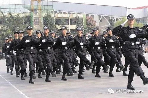 冬至过后,数九寒冬开始,津城气温会怎样 还有这些事要知道